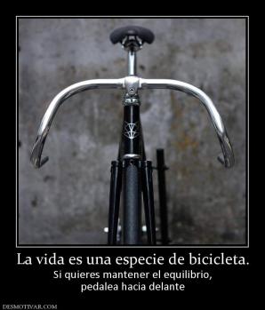 La vida es una especie de bicicleta. Si quieres mantener el equilibrio, pedalea hacia delante