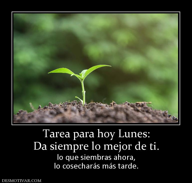 Tarea para hoy Lunes: Da siempre lo mejor de ti. lo que siembras ahora, lo cosecharás más tarde.