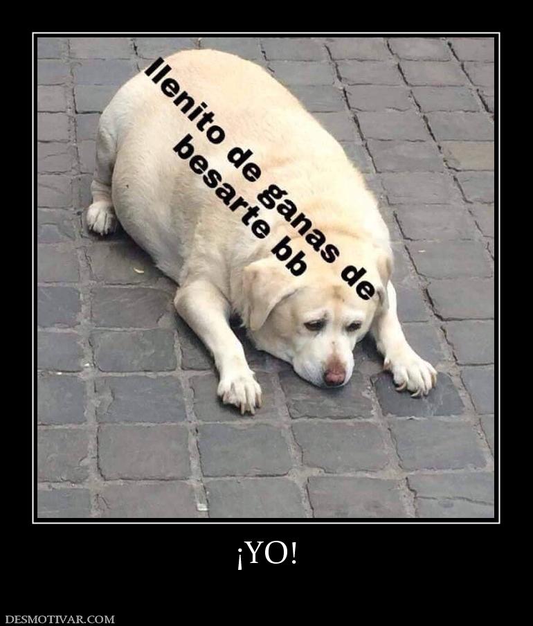 ¡YO!