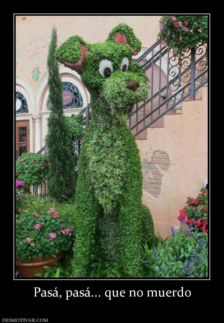 Pasá, pasá... que no muerdo