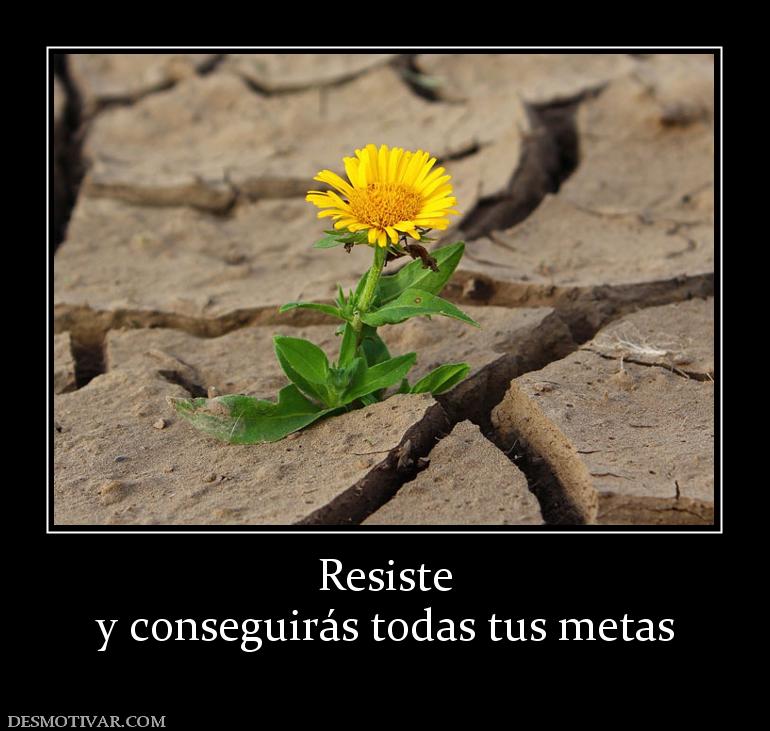 Resiste y conseguirás todas tus metas