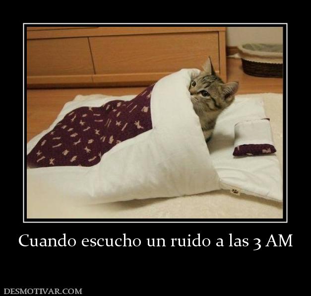 Cuando escucho un ruido a las 3 AM