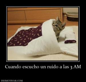 Cuando escucho un ruido a las 3 AM