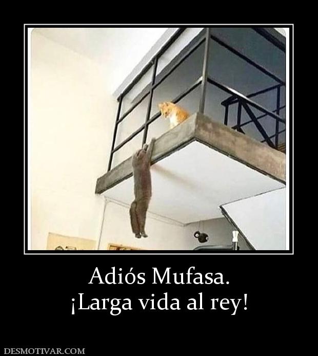 Adiós Mufasa. ¡Larga vida al rey!