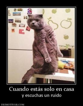 Cuando estás solo en casa y escuchas un ruido
