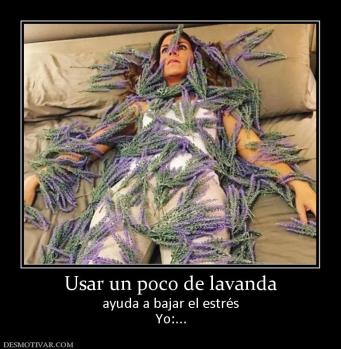Usar un poco de lavanda ayuda a bajar el estrés Yo:...