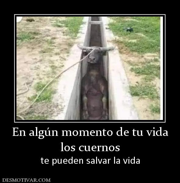 En algún momento de tu vida los cuernos te pueden salvar la vida