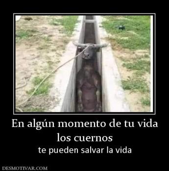 En algún momento de tu vida los cuernos te pueden salvar la vida
