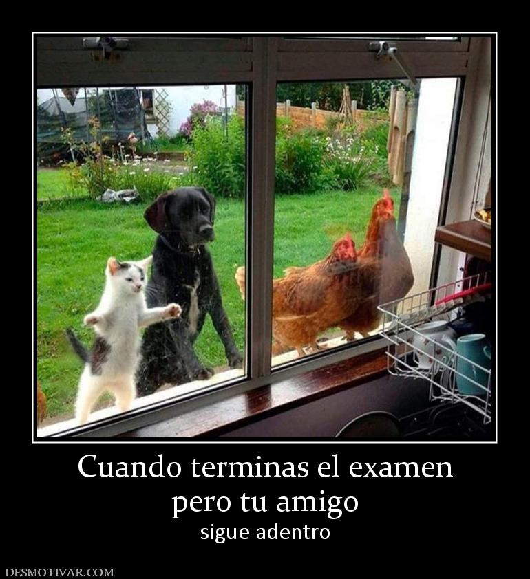 Cuando terminas el examen pero tu amigo sigue adentro