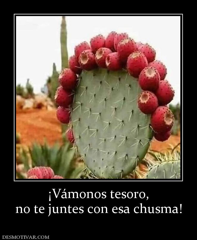 ¡Vámonos tesoro, no te juntes con esa chusma!