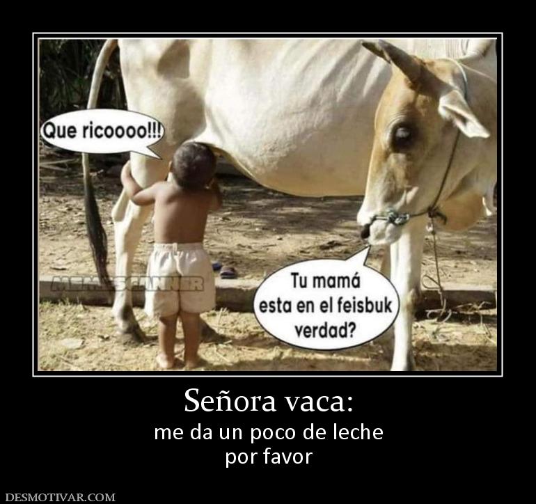 Señora vaca: me da un poco de leche por favor