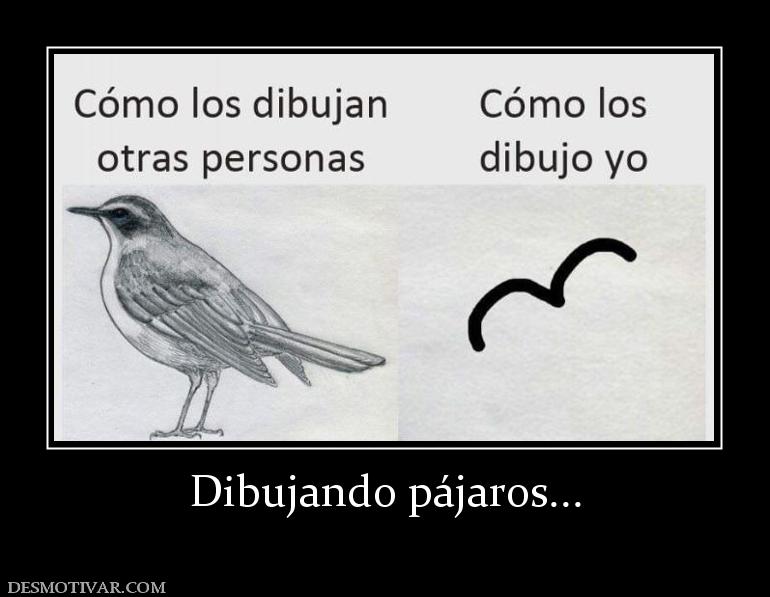Dibujando pájaros...