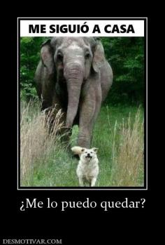 ¿Me lo puedo quedar?