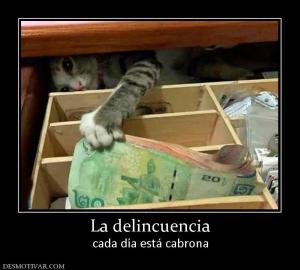 La delincuencia cada día está cabrona