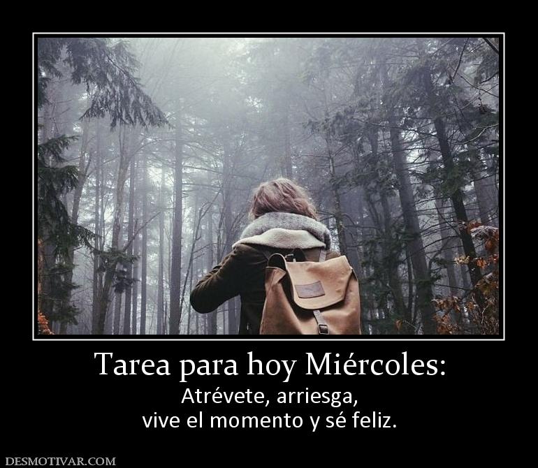 Tarea para hoy Miércoles: Atrévete, arriesga, vive el momento y sé feliz.