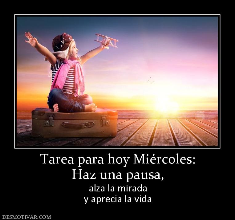 Tarea para hoy Miércoles: Haz una pausa, alza la mirada y aprecia la vida