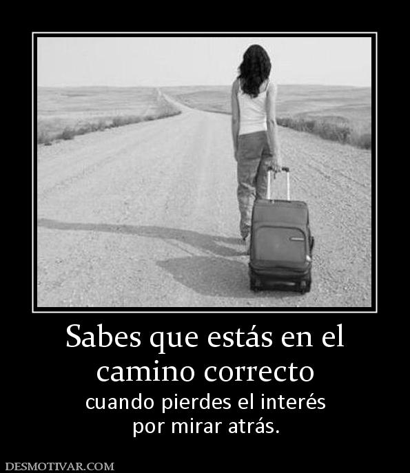 Sabes que estás en el camino correcto cuando pierdes el interés por mirar atrás.