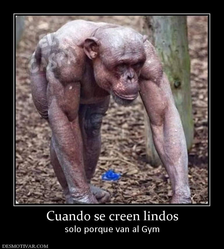 Cuando se creen lindos solo porque van al Gym