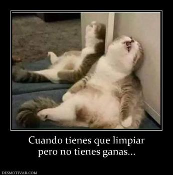 Cuando tienes que limpiar pero no tienes ganas...