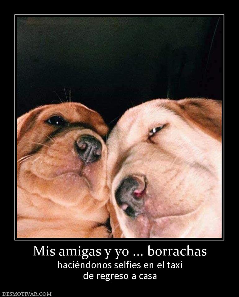Mis amigas y yo ... borrachas haciéndonos selfies en el taxi de regreso a casa