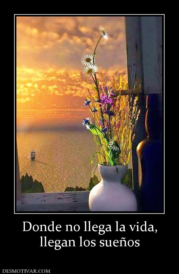 Donde no llega la vida, llegan los sueños
