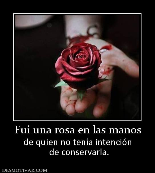 Fui una rosa en las manos de quien no tenía intención  de conservarla.