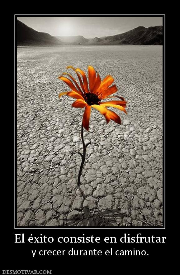 El éxito consiste en disfrutar y crecer durante el camino.
