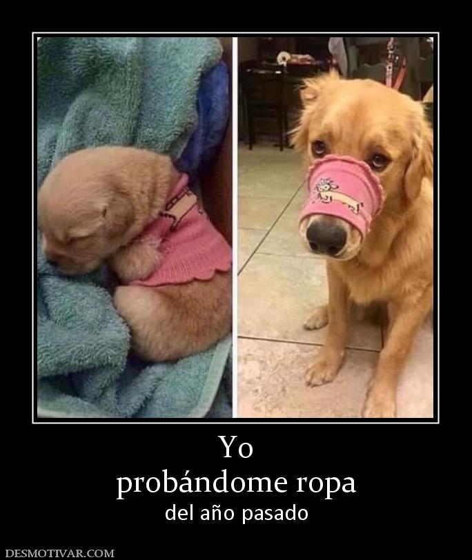 Yo probándome ropa del año pasado