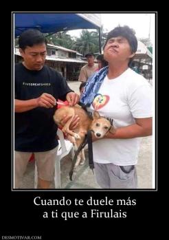 Cuando te duele más a ti que a Firulais