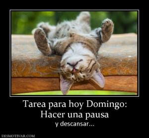 Tarea para hoy Domingo: Hacer una pausa y descansar...