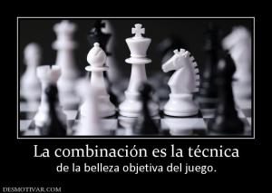 La combinación es la técnica de la belleza objetiva del juego.
