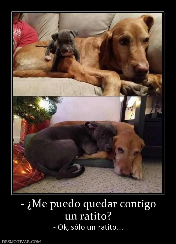 - ¿Me puedo quedar contigo un ratito? - Ok, sólo un ratito...
