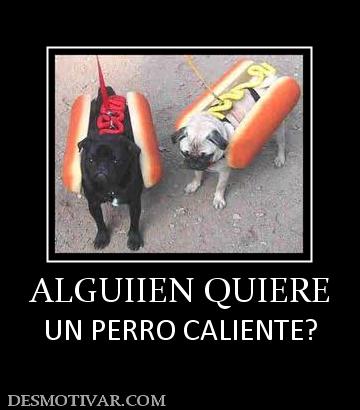 ALGUIIEN QUIERE UN PERRO CALIENTE?