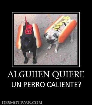 ALGUIIEN QUIERE UN PERRO CALIENTE?