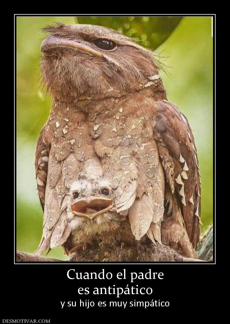 Cuando el padre es antipático y su hijo es muy simpático