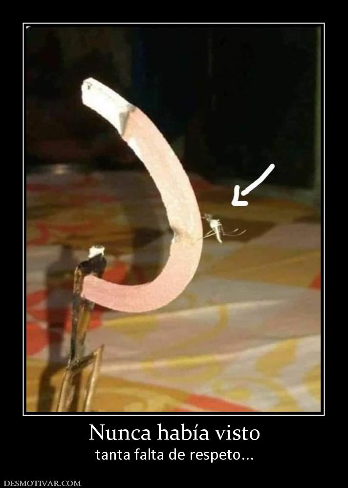 Nunca había visto tanta falta de respeto...