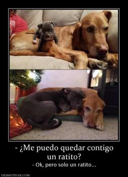 - ¿Me puedo quedar contigo un ratito? - Ok, pero solo un ratito...