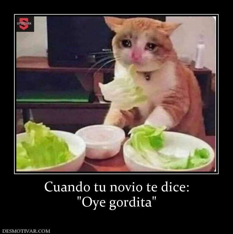 Cuando tu novio te dice: