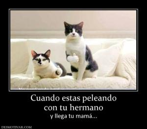 Cuando estas peleando con tu hermano y llega tu mamá...