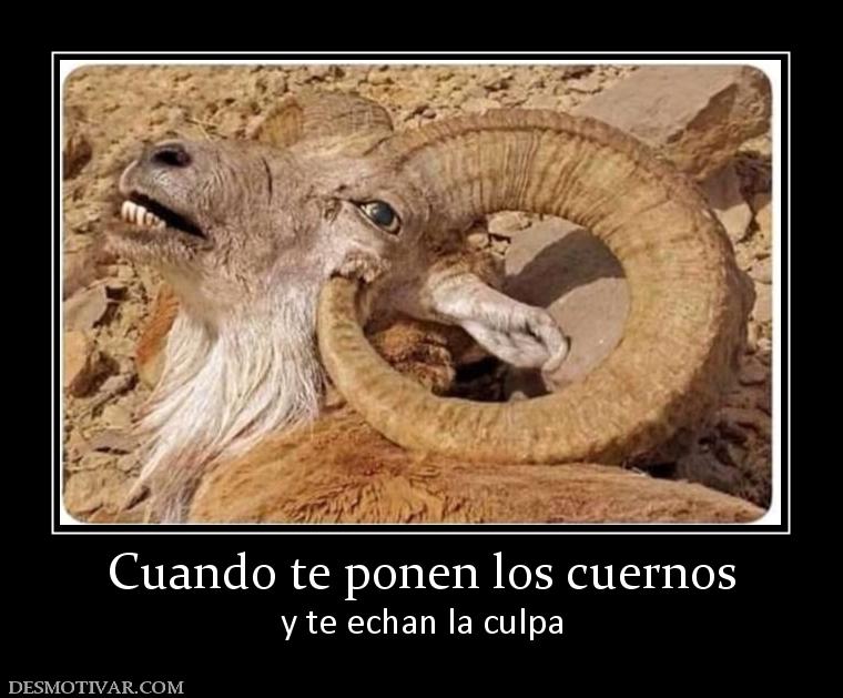 Cuando te ponen los cuernos y te echan la culpa