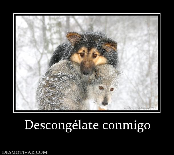 Descongélate conmigo