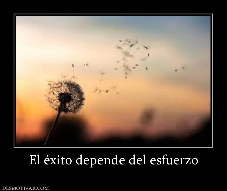 El éxito depende del esfuerzo