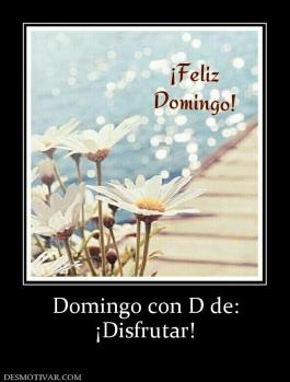 Domingo con D de: ¡Disfrutar!