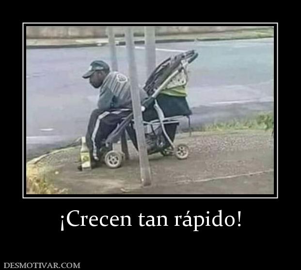 ¡Crecen tan rápido!