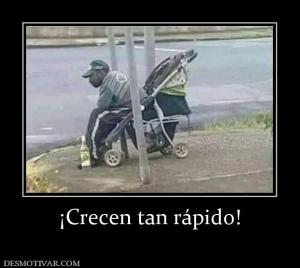 ¡Crecen tan rápido!