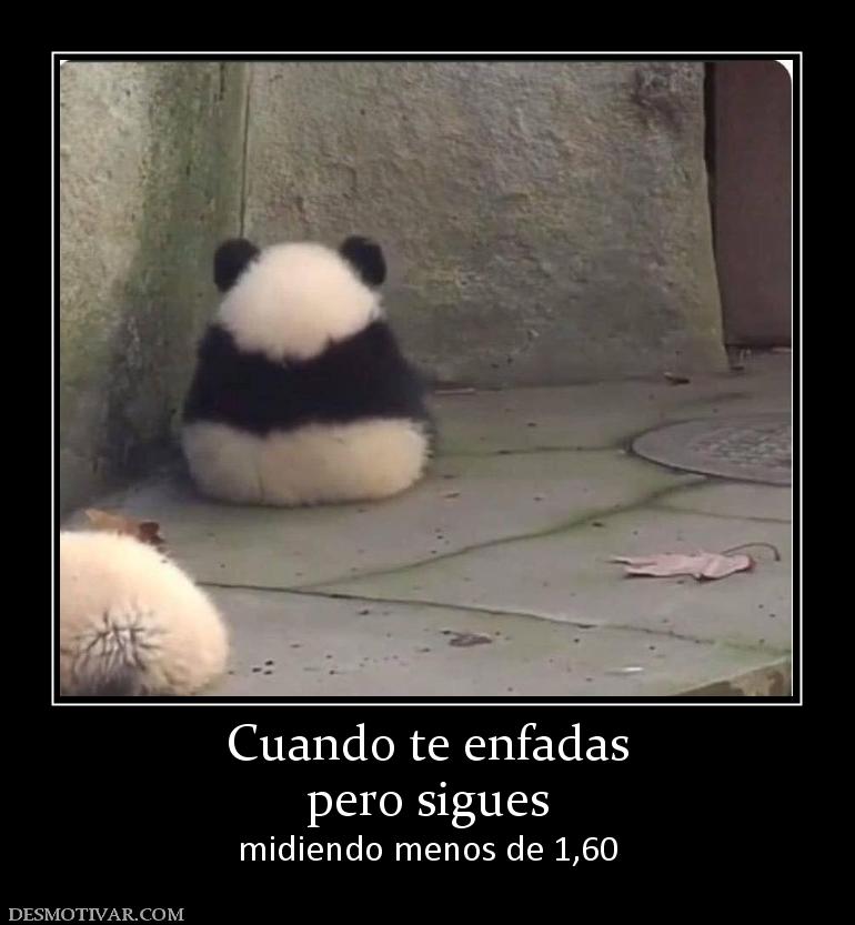 Cuando te enfadas pero sigues midiendo menos de 1,60