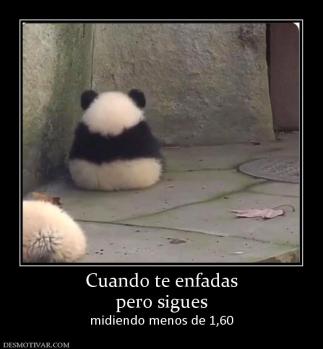 Cuando te enfadas pero sigues midiendo menos de 1,60