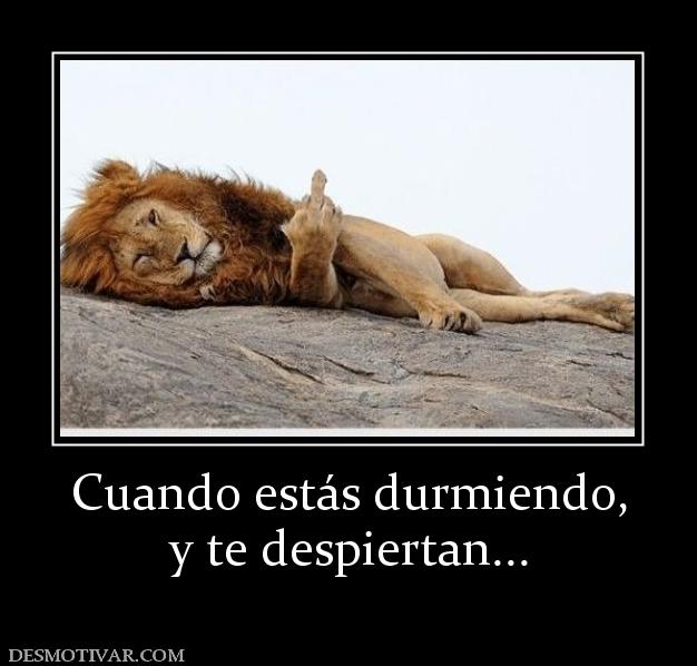 Cuando estás durmiendo, y te despiertan...