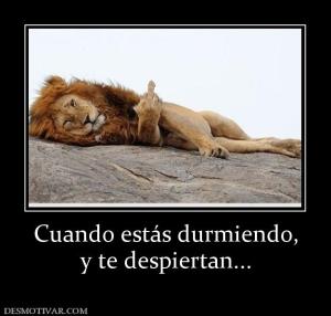 Cuando estás durmiendo, y te despiertan...