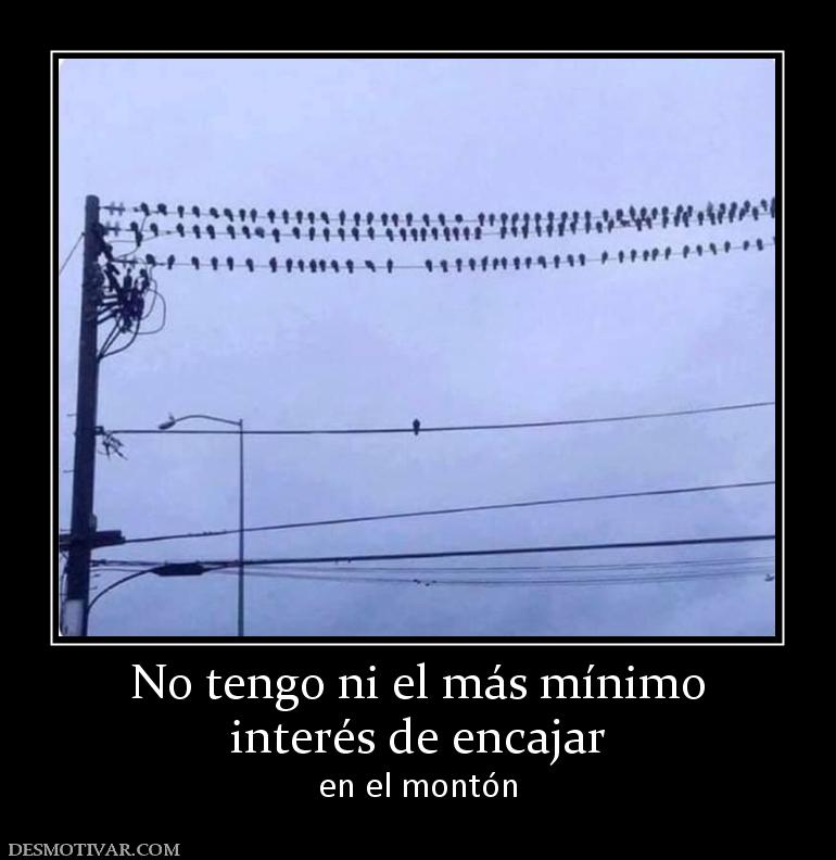 No tengo ni el más mínimo interés de encajar en el montón